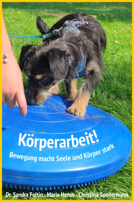 Körperarbeit! Bewegung macht Seele und Körper stark (3-teilige Webinarreihe) [Digital]