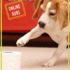 Online-Kurs<br />"Kreatives Clickertraining"<br />(Start 20.10.2026) [Digital]