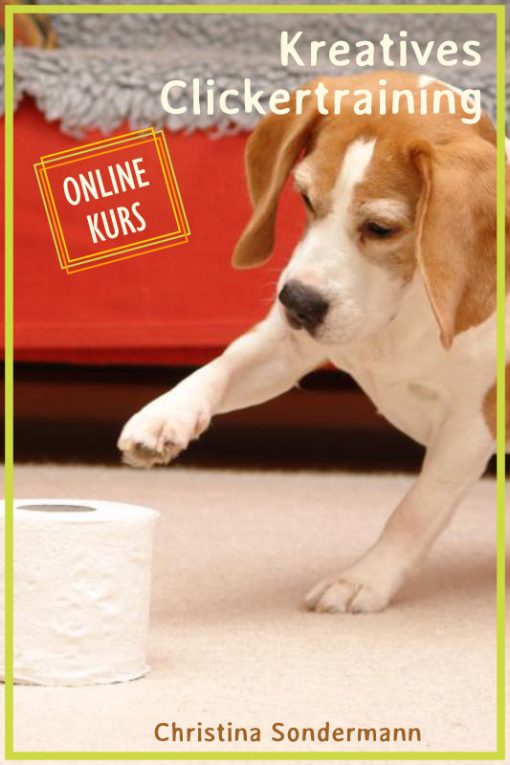 Online-Kurs<br />"Kreatives Clickertraining"<br />(Start 19.08.2025)