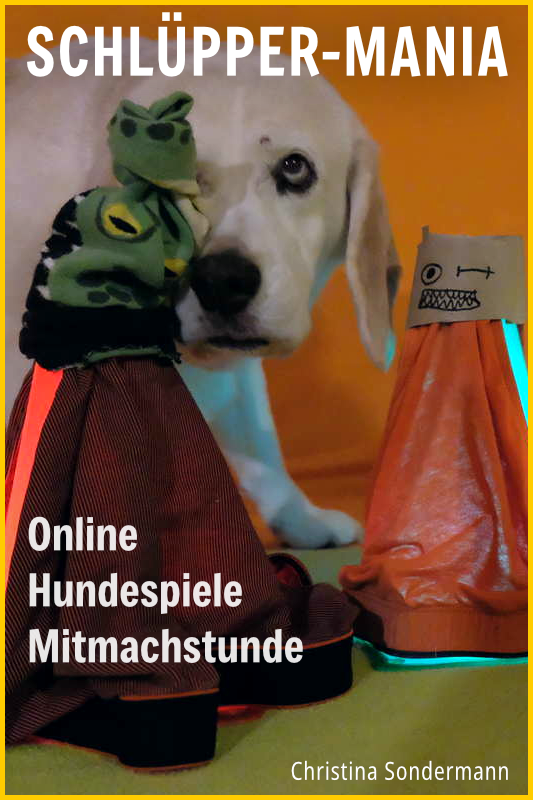 Schlüppermania: Online-Hundespiele-Mitmachstunde (20.01.2026)