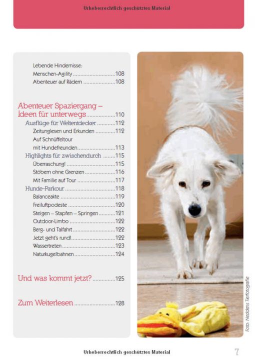 Das große Spielebuch für Hunde – Bild 6