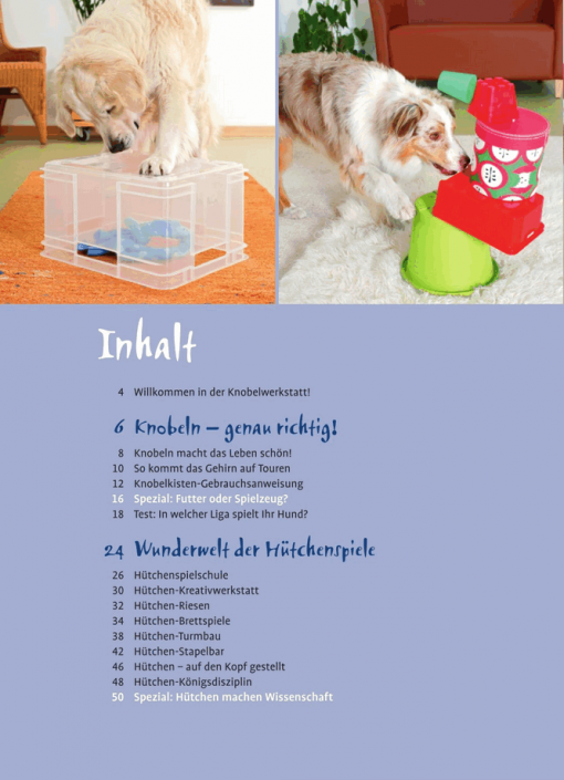 Denksport für Hunde – Bild 2