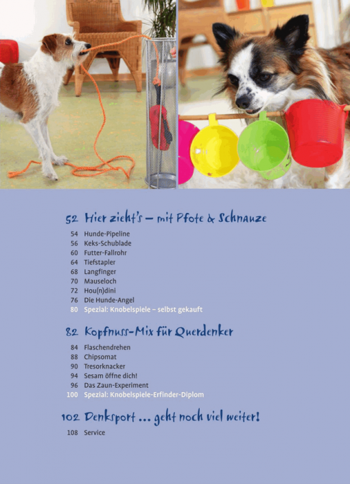 Denksport für Hunde – Bild 3